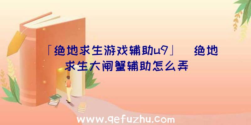 「绝地求生游戏辅助u9」|绝地求生大闸蟹辅助怎么弄